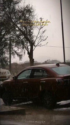 Rain Vibes #villagelife #rain #rainsoundsforsleeping #rainsounds #asmr #ncc #jayjagannathswami #fypシ