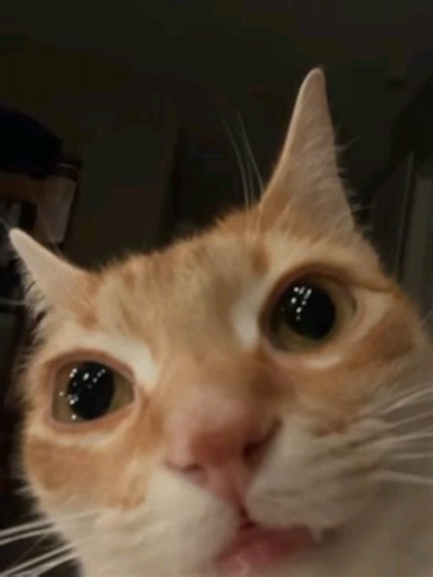 Jugando Fútbol y Goles Locos en Blue Lock