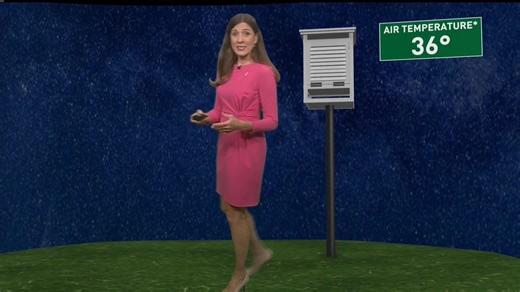 3.4K views · 93 reactions | Frost can form even when the thermometer shows above freezing temperatures. Here's why. #frostformation | Meteorologist Sharon Ray | Facebook