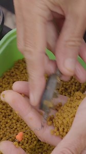 75K views · 616 reactions | How do you load your feeder? | Maver UK | Facebook