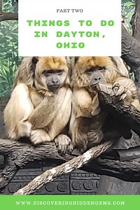 The 51 Best Things To Do in Dayton In Winter