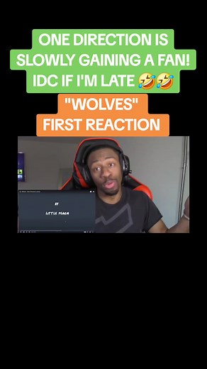 #onedirection #louistomlinson #harrystyles #niallhoran #onedirectionvideos #wolves