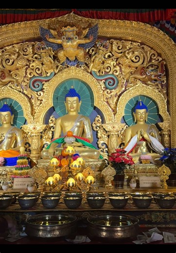 Wish you all the best 2026#buddha #tibet #meditationmusic | buddha