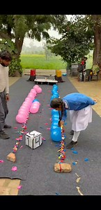 qui se serait le vaincu de cette compétition ? la couleur bleu ou la couleur rose | Herman Diesel comédie