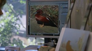 The Million Dollar Duck (2016) Documentary (1080p)