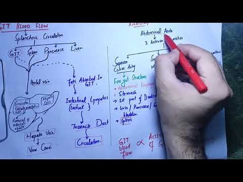 guyton chapter 63 last part, gastrointestinal blood flow, splanchnic circulation#gitphysiology