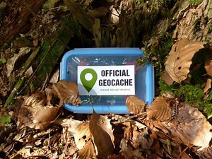 Westborough Public Library Presents Geocaching Program