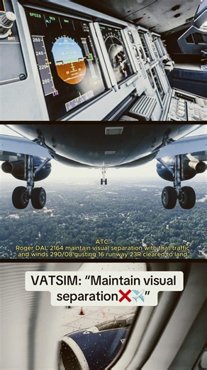 Professional ATC ONLY!!! #vatsim #aviation