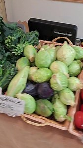 Check out all these beauts we have for you TOMORROW @codyfarmersmarket 10am-1pm 808 12th Street (Cody VFW). Cold weather crops are just getting started! See ya there! | Farmtablewest