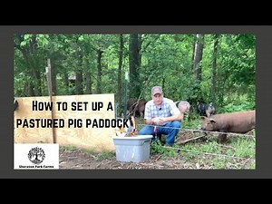 Getting Started With Pastured Pork - How To Set Up A Pastured Pig Paddock