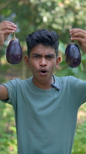 Full Brinjal Snacks | Desi Cooking Easy Recipe | Village Style Cooking Shorts.