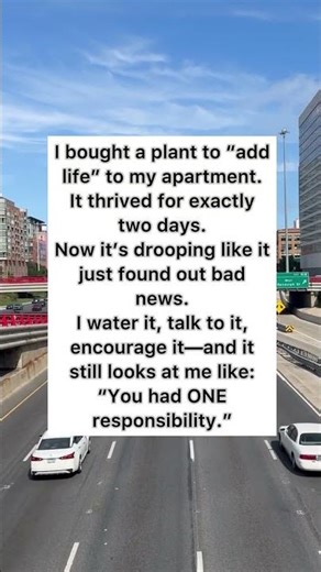 Houseplant Drama 😂 #humor #memes #shorts
