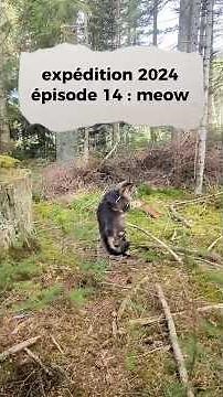 Episode 14, Limoges - Geneva on foot. A walk in the Livradois-Forez Regional Natural Park
