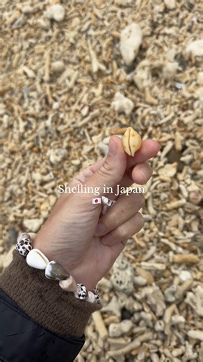 Exploring Shelling Adventures on Rainy Days in Japan