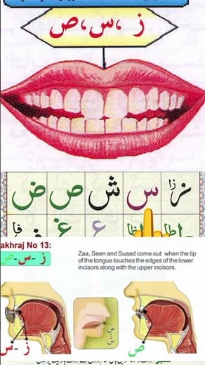 Noorani Qaida Lesson 1 | Learn Arabic Alphabets with Tajweed | Alif Baa Taa | English Quran Academy