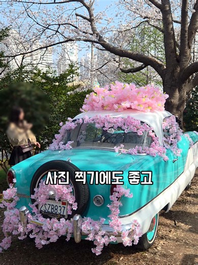 낙동강정원 벚꽃축제에 다녀왔습니다. 본 영상은 개인 사비로 다녀온 영상으로, 광고 또는 협찬 영상이 아닙니다. 2026.3.27~4.12까지 진행합니다 주요 프로그램은 개막행사, 벚꽃음악회, 버스킹, 거리퍼포먼스, 포토존, 체험부스 등이 있습니다 야간에도 버스킹과 고보라이트 등 야간 특화 프로그램을 마련해 밤에도 풍성한 볼거리와 즐길거리를 제공한다고 합니다 위치 낙동제방벚꽃길 (낙동강정원벚꽃축제) 감전유수지임시주차장에 무료로 주차 가능 #낙동제방벚꽃길 #낙동강정원벚꽃축제 #벚꽃축제 #부산벚꽃축제 #벚꽃