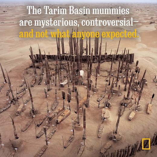 Though they died thousands of years ago, hundreds of bodies excavated from cemeteries like this one in East Asia’s Tarim Basin are extremely well-preserved. But the mummies’ seemingly perfect state of preservation wasn’t their only surprise—their ancient DNA has yielded surprising insights. Discover more at: https://on.natgeo.com/3yB2cs4 | National Geographic