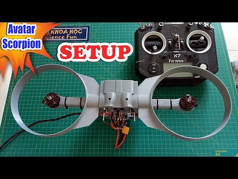 SETUP RC AVATAR SCORPION 3D Printed