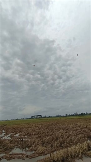 👍💕💕 | Lại Văn Thiệm