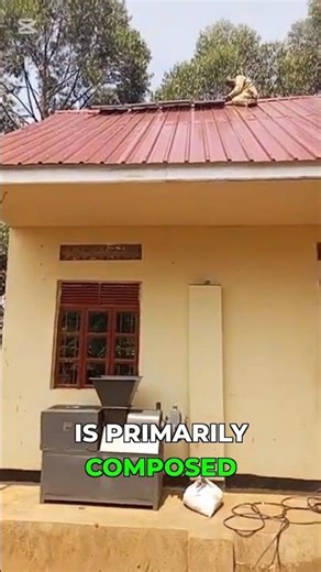 The Secret Science Behind Ash Mushroom Growing