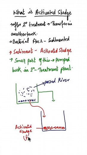 What is Activated Sludge #biologyshort #microbesinhumanwelfare #shorts