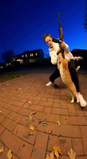 Cat Found Firing a Rifle - Armed Cat #shortviral