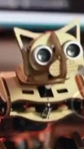 These palm-sized robots are adorable! Created by Petoi , these mini cat and dog robots are open source and can be perated using a computer, smartphone, or controller. Watch them walk around, do tricks, and engage with people and their environment. Check them out at RobotsGuide.com where you'll find hundreds of other fascinating robots. View specs, explore in 360 degree views, and vote on your favorites. https://robotsguide.com/robots/nybble #RobotsGuide #robotics #robots #cat #dog #IEEESpectrum 