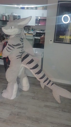 Mesmerizing Furry Tail Wagging Compilation