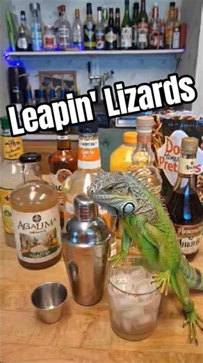 I don't drink much, but when I do it's a party! #pmgk #tequila #iguana #margaritas #mexican