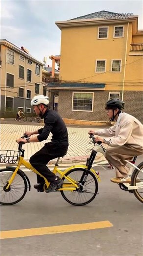 Tiny Horse, Giant Cart: A Surprising Powerhouse