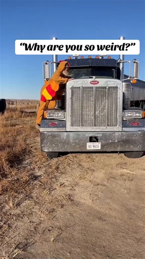 12K views · 325 reactions | #SemiTruck⁠ #BigRig⁠ #TruckerLife⁠...