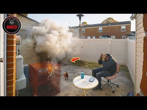 Incredible Moments Caught on Camera (P192)