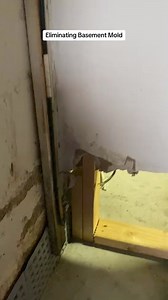 Eliminating Basement Mold #fyp #downesconstruction #DIY #construction #constructiontok #basementmold #drywallrepair #trending #viral #howto #stepbystep #fyp #foryoupage #bluecollar | Lucien Duncan