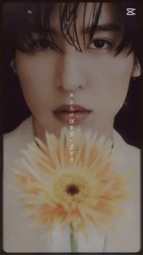 #歌詞動画 Snow Man 目黒蓮