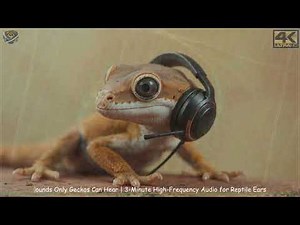 🎧 Sounds Only Geckos Can Hear | 3-Minute High-Frequency Audio for Reptile Ears 🦎🔊