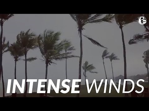 TRACKING HURRICANE: Tropical Storm Isaias brings intense winds to Punta Cana