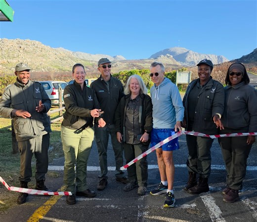 Table Mountain National Park Recovers and Reopens After April Fire