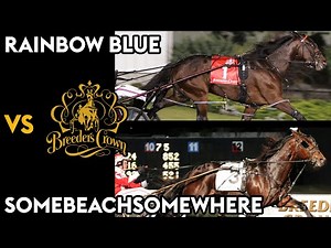 Rainbow Blue vs Somebeachsomewhere - The Bracket - Breeders Crown 3 Year Old Pacers