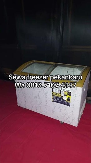 Sewa freezer showcase pekanbaru