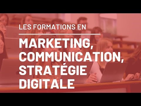 Découvrez les formations en Marketing - Communication et Stratégie Digitale