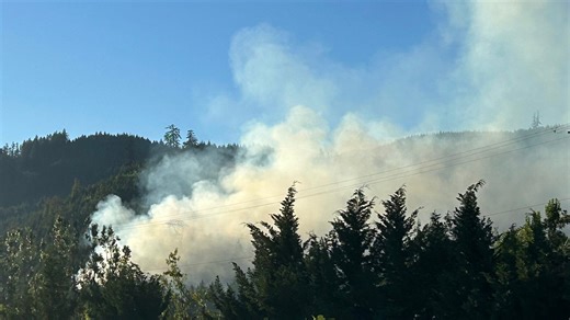 Fire reported on McKenzie View Drive north of Springfield