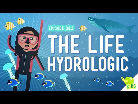 The Life Hydrologic: Crash Course Kids #30.2