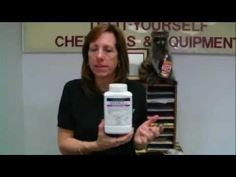 How to identify carpenter and termites