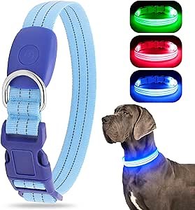 Light Up Dog Collar, LED Lighted Reflective Dog Collars for Night USB Rechargeable, Glow Collar for Dogs, Waterproof Adjustable Flashing Dog Collar for Night Safety (Blue, Small)