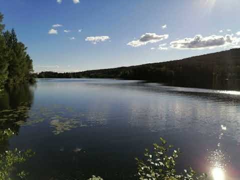 主，我愿像你（O to Be Like Thee!) 女声独唱生命圣诗391