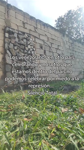 Venezolanos Celebran Desde el Extranjero