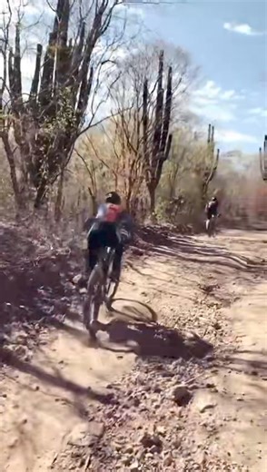 Let’s do it again! | Spring Bike