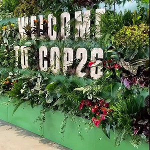 It’s day one in the COP26 Green Zone! Find us in the Principal Partner Showcase to: 🍃 See our interactive energy hub 🔉 Hear how we’re reaching net zero in our sound shower 🎙 Join us for live panel events - or watch remotely via the livestreams under our events section. | National Grid