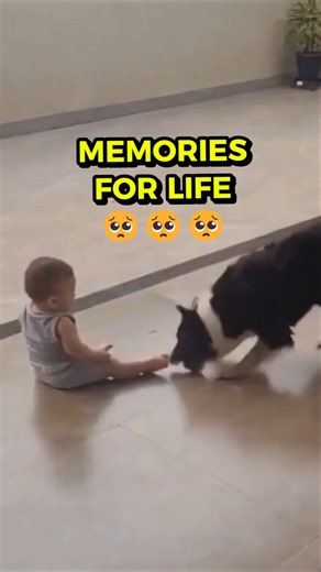 Wholesome Moment: Little Girl Plays Fetch with Her Dog | Moments Media