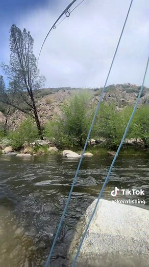 Trout Fishing Techniques for Beginners